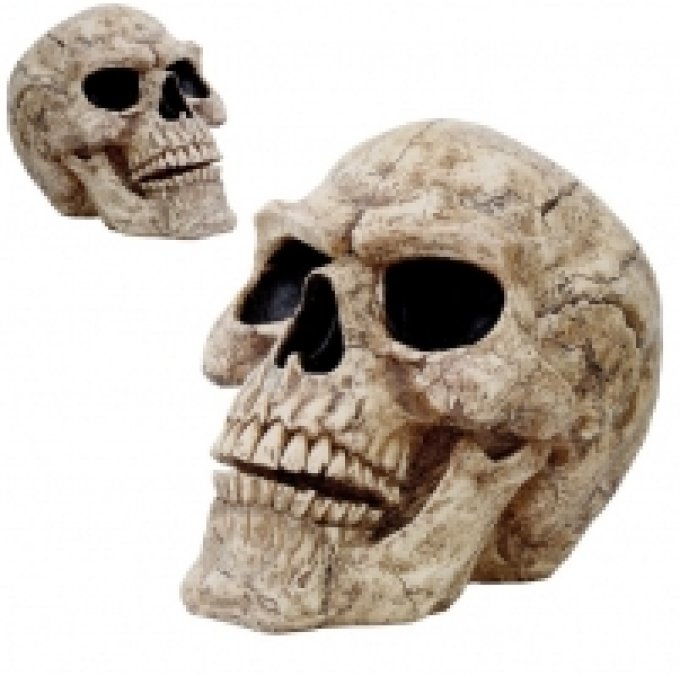 Statue Crâne GEANT Tête de mort 46 cm
