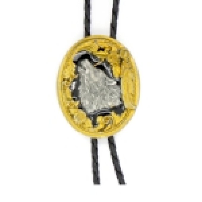 Bolotie Loup Modèle d'expo