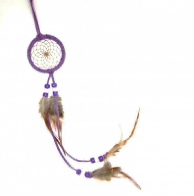 Dreamcatcher (attrape rêve) violet