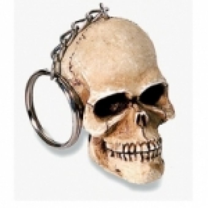 Porte clés crane GM