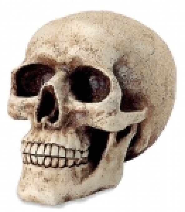 Tirelire crane tête de mort Gothique