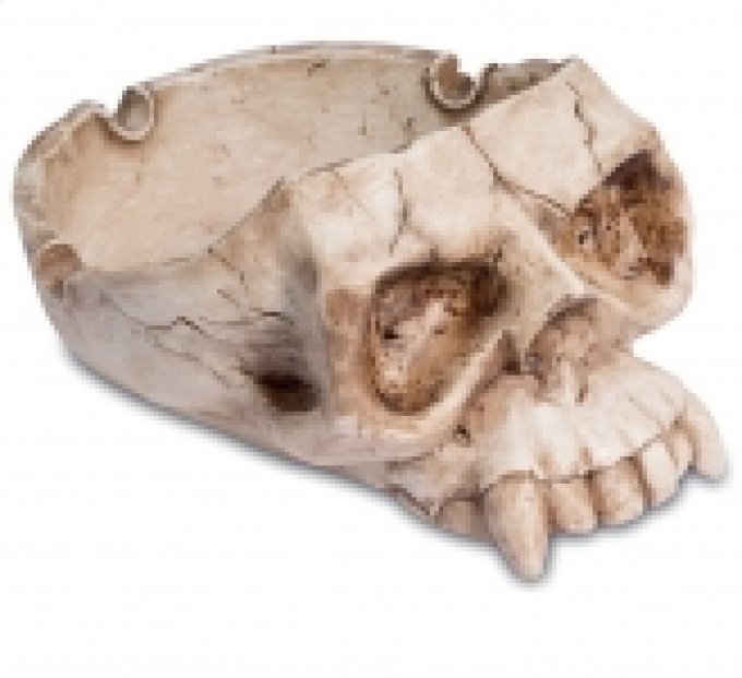 Cendrier crane ou Vide poche gothique