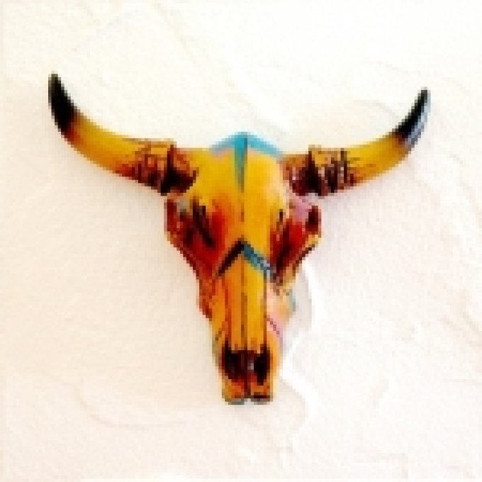 Crane de Vache résine western PM