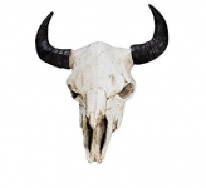 Crane de Bison résine