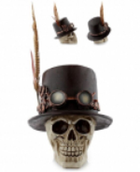 Crâne Stempunk chapeau plume